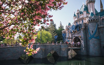 Disney Castle and Bridge